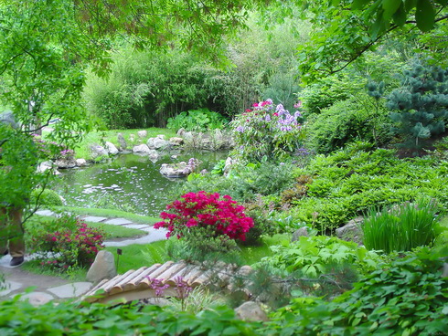 Flower Beds around Trees