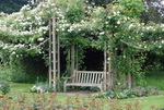 English Garden Picture