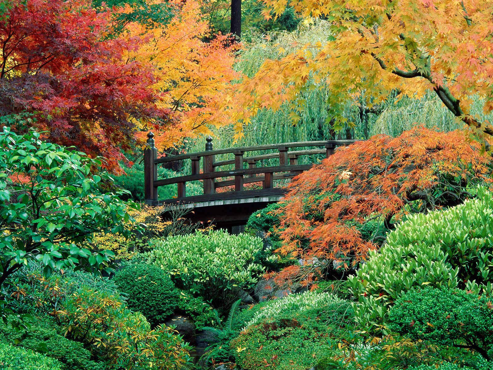 Portland Japanese Garden