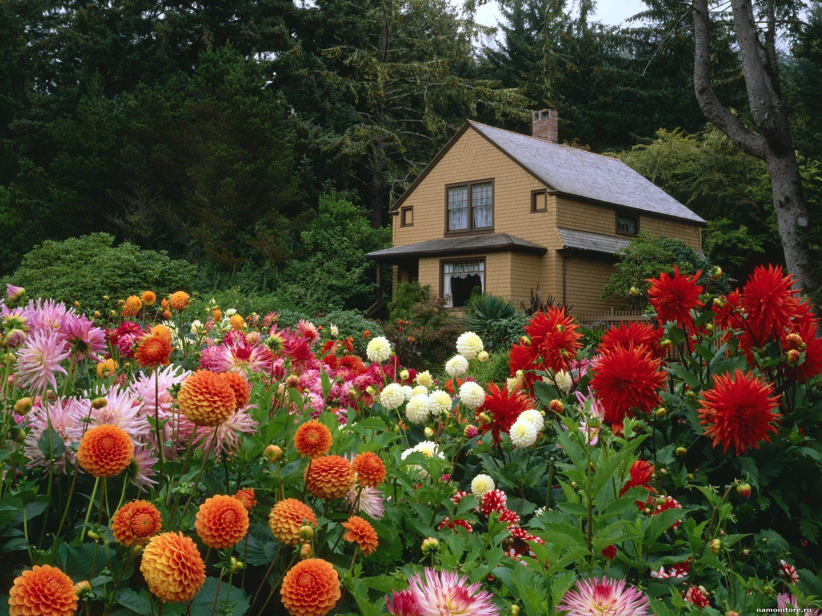 Beautiful Flower Garden