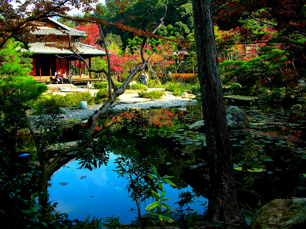 Modern Japanese Garden