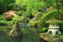 Japane Garden