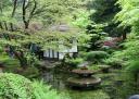 Japane Garden