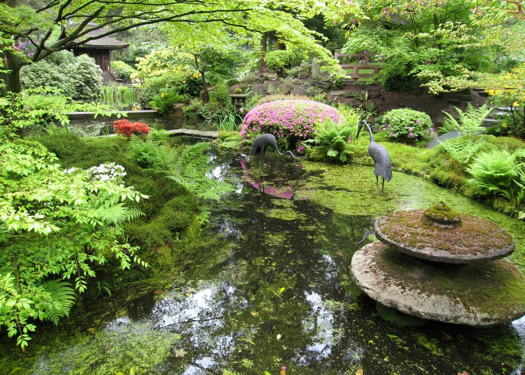 Japanese Garden Pictures | Japan Garden Flowers photo