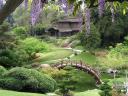 Japane Gardens