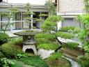 Japane Gardens