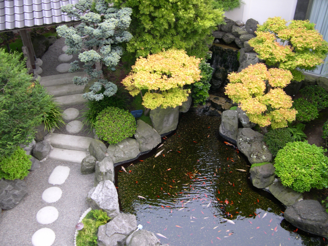 Japanese Garden | Japan Garden Flowers Photos and Videos