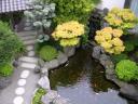 Japanese garden pictures