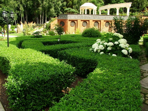 Mistakes in Landscape Design