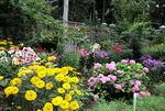 Tips for Your Flower Garden