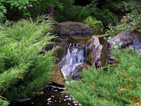 Water in Movement